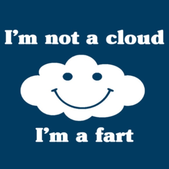 Gildan Other - Funny T-Shirt small-xl Funny Tshirt Funny Shirt